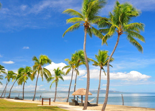 浪漫海岸 斐濟(jì)旅游全攻略