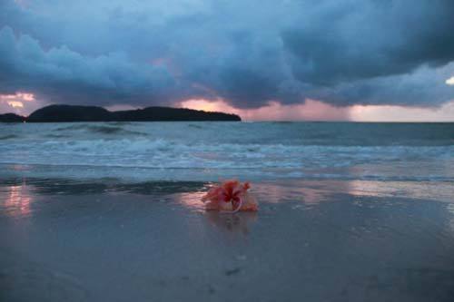 11月蘭卡威旅游 感受醉人熱帶海濱風(fēng)情 圖片