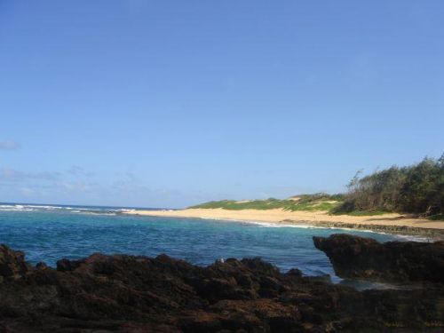 考愛島：太平洋上的蜜月天堂圖片