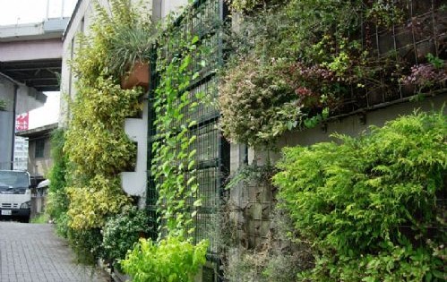 雙國(guó)圣地 韓國(guó)光州圖片