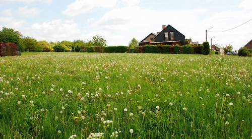 比利時(shí)迪南 薩克斯故鄉(xiāng)圖片